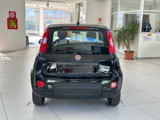 FIAT Panda 1.0 FireFly S&S Hybrid Immagine 2