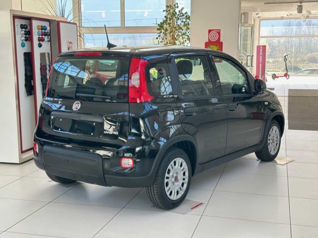 FIAT Panda 1.0 FireFly S&S Hybrid Immagine 3