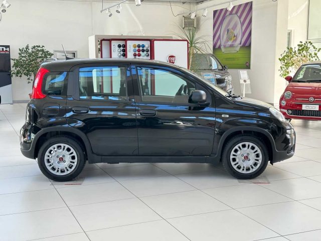 FIAT Panda 1.0 FireFly S&S Hybrid Immagine 4