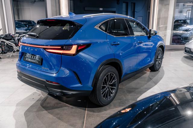 LEXUS NX 350h NX 350h Hybrid 4WD Business*80 PHOTOS Immagine 3