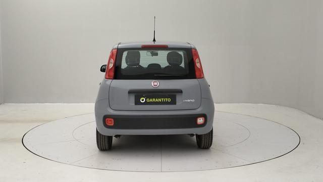 FIAT Panda 1.0 firefly hybrid s&s 70cv Immagine 3