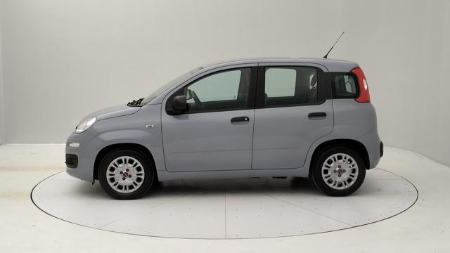 FIAT Panda 1.0 firefly hybrid s&s 70cv Immagine 1