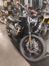 TRIUMPH Scrambler 900 2024