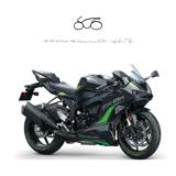 KAWASAKI Ninja 636 ZX-6R 2025