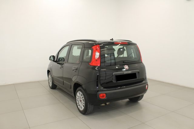 FIAT Panda 1.2 Lounge Plus Immagine 4