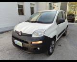 FIAT Panda III Van 2016 -  van 1.3 mjt Pop 80cv 4x4 2p.ti se