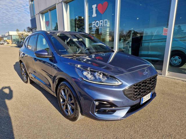 FORD Kuga 1.5 EcoBlue 120 CV aut. ST-Line X Immagine 2