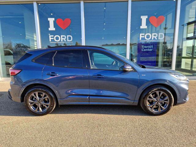 FORD Kuga 2.0 EcoBlue 120 CV aut. ST-Line X Immagine 3