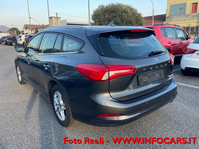 FORD Focus 1.0 EcoBoost 125 CV SW Business Immagine 3