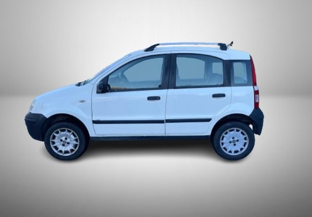 FIAT Panda 1.2 4x4 Immagine 1