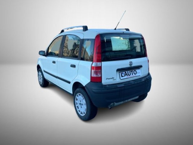 FIAT Panda 1.2 4x4 Immagine 2