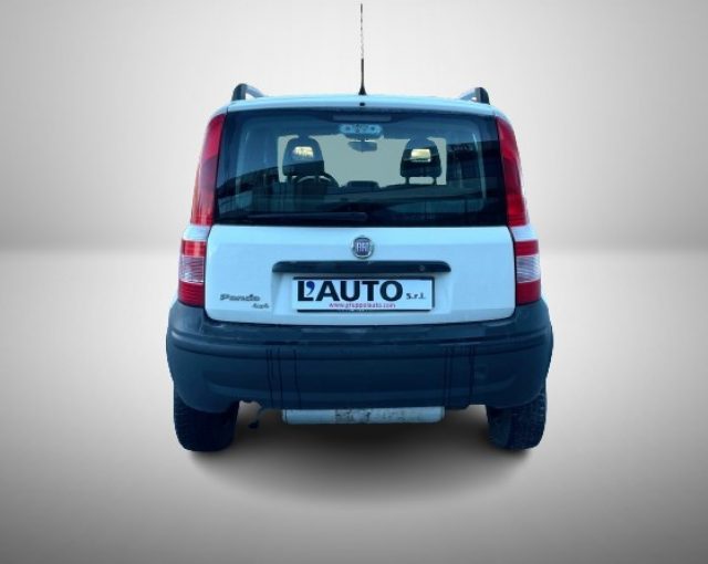 FIAT Panda 1.2 4x4 Immagine 3