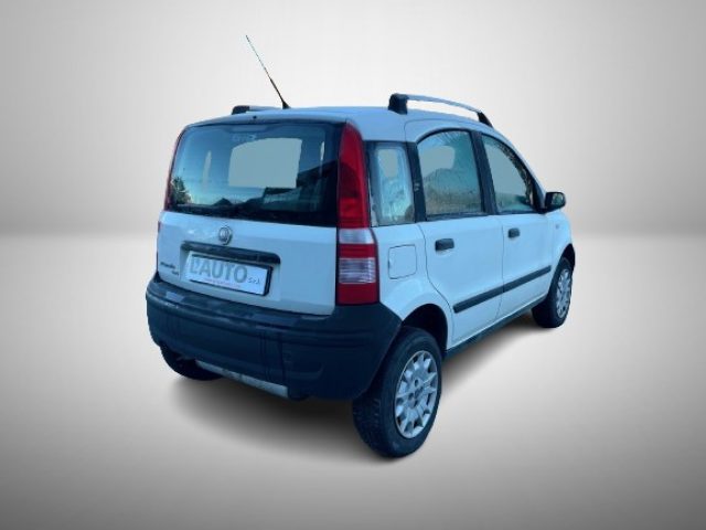 FIAT Panda 1.2 4x4 Immagine 4