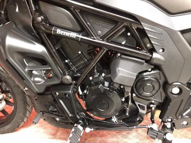 BENELLI 502 C 2020 Immagine 4