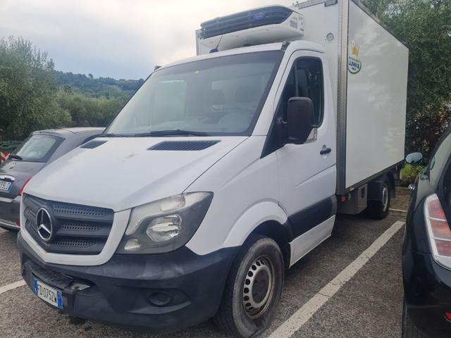 MERCEDES-BENZ Sprinter 316 CASSONE FISSO CDI   ISOTERMICO F R I GO Immagine 1