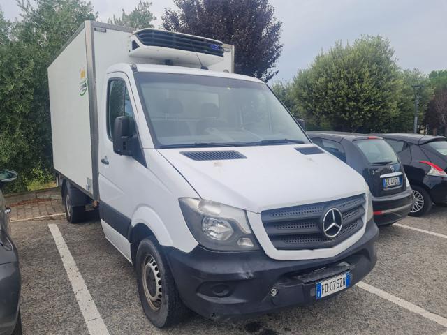 MERCEDES-BENZ Sprinter 316 CASSONE FISSO CDI   ISOTERMICO F R I GO Immagine 0