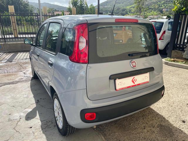 FIAT Panda 1.0 FireFly S&S Hybrid Immagine 3