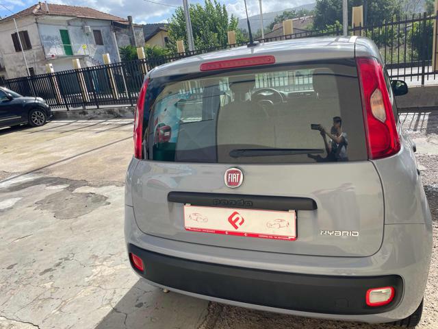 FIAT Panda 1.0 FireFly S&S Hybrid Immagine 4