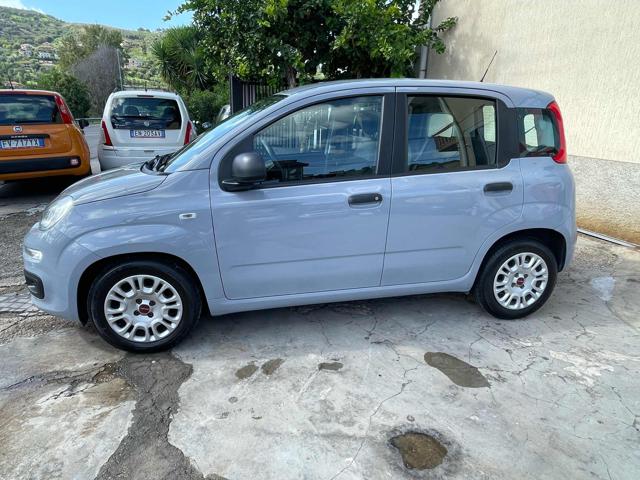 FIAT Panda 1.0 FireFly S&S Hybrid Immagine 2