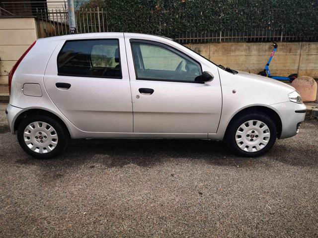 FIAT Punto Classic 1.2 5 porte Active GPL Immagine 3