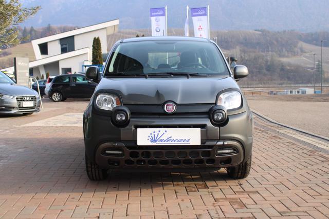 FIAT Panda 1.0 Hybrid City Cross Clima auto-DAB 7" Immagine 2