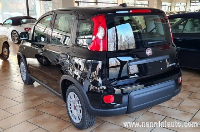 FIAT Panda 1.0 FireFly S&S Hybrid Immagine 1