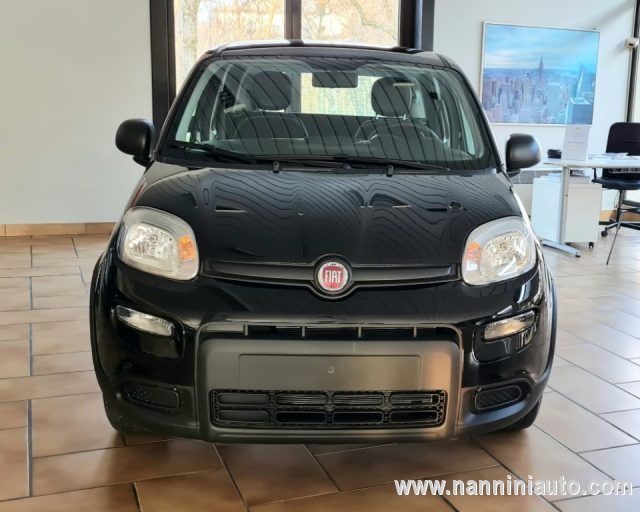 FIAT Panda 1.0 FireFly S&S Hybrid Immagine 2