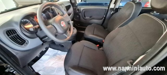 FIAT Panda 1.0 FireFly S&S Hybrid Immagine 3