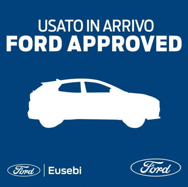 FORD Puma 1.0 EcoBoost Hybrid 125 CV ST-Line Immagine 1