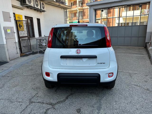 FIAT Panda 1.0 Hybrid 70cv Radio Bluetooth 36 Rate da 177,95 Immagine 4