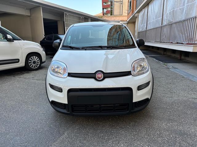 FIAT Panda 1.0 Hybrid 70cv Radio Bluetooth 36 Rate da 177,95 Immagine 1