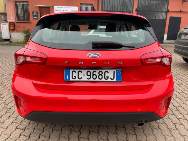 FORD Focus 1.0 EcoBoost 100 CV 5p. Business Immagine 3