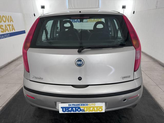 FIAT Punto Classic 5p Metano 60cv Neopatentati Immagine 2