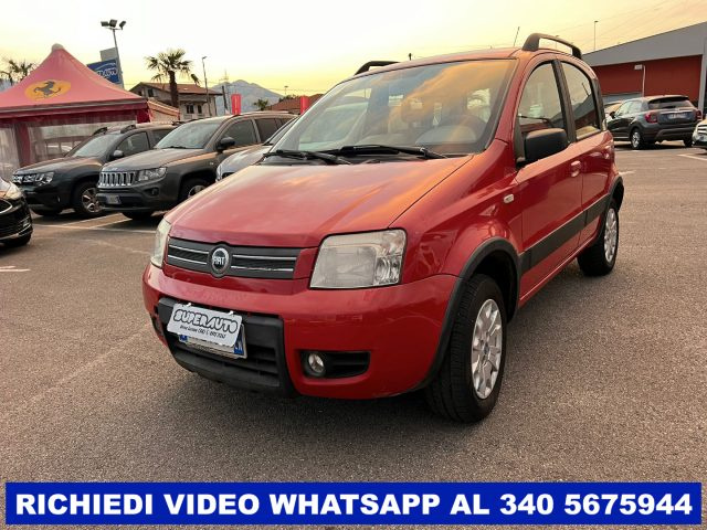 FIAT Panda 1.2 4x4 Climbing Immagine 1