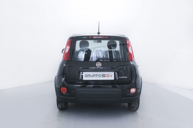 FIAT Panda 1.0 FireFly S&S Hybrid NEOPATENTATI Immagine 4
