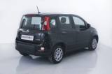 FIAT Panda 1.0 FireFly S&S Hybrid NEOPATENTATI