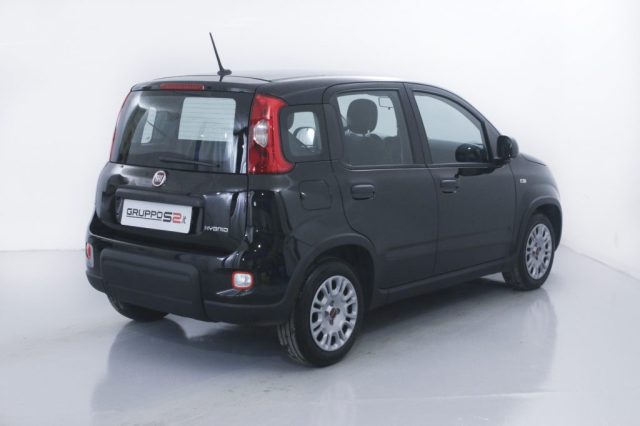 FIAT Panda 1.0 FireFly S&S Hybrid NEOPATENTATI Immagine 4