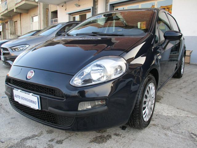 FIAT Punto 1.3 MJT II S&S 95 CV 5 porte Street Immagine 2