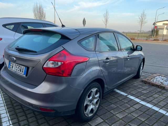 FORD Focus 1.6 TDCi 115 CV Titanium Immagine 3