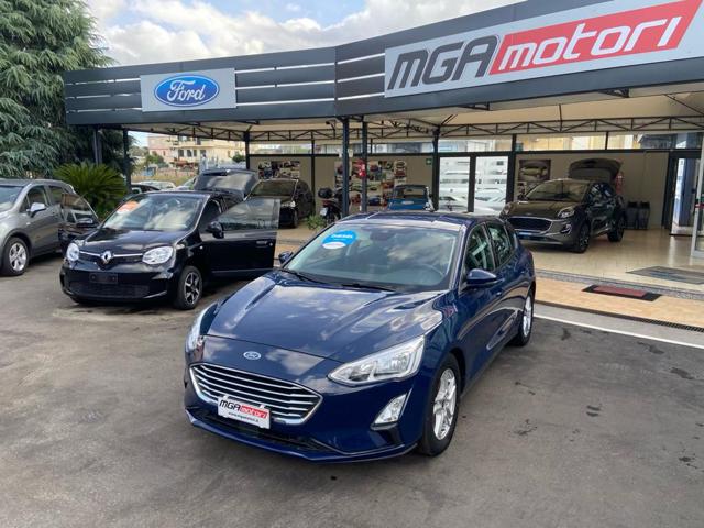 FORD Focus 1.5 EcoBlue 120 CV 5p. Start&Stop Business Immagine 0