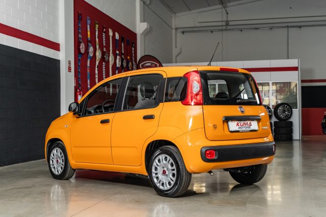 FIAT Panda 1.0 FireFly 70cv Hybrid IVA compresa Immagine 3