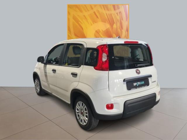 FIAT Panda 1.0 70cv Hybrid Immagine 3