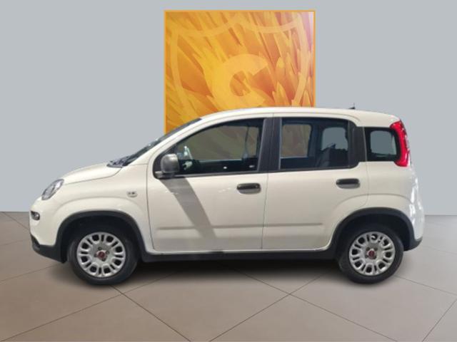 FIAT Panda 1.0 70cv Hybrid Immagine 2