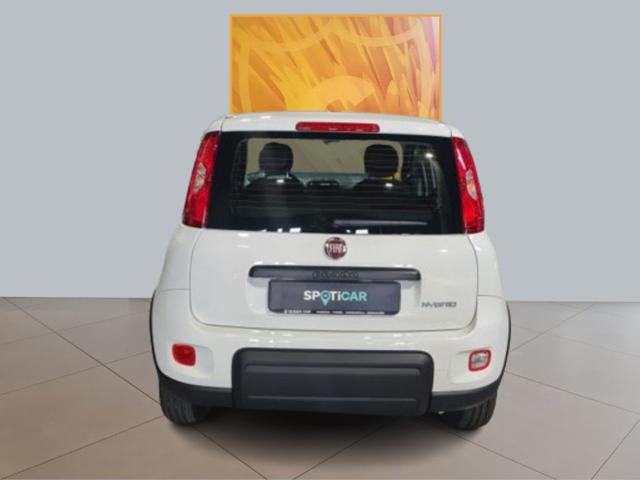 FIAT Panda 1.0 70cv Hybrid Immagine 4