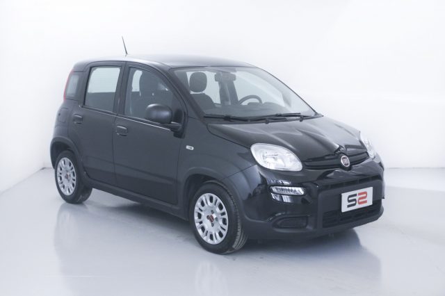 FIAT Panda 1.0 FireFly S&S Hybrid NEOPATENTATI Immagine 4