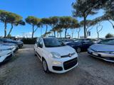 FIAT Panda 1.2cc 69cv
