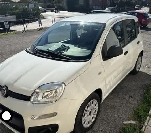 FIAT Panda 1.3 MJT 95 CV S&S Easy Immagine 2