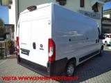 FIAT Ducato 33 2.3 MJT 140CV PLM-TA Furgone