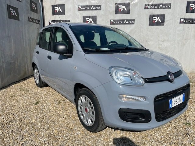 FIAT Panda 1.0 FireFly S&S Hybrid Immagine 2