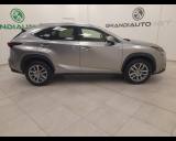 LEXUS NX 300h NX I -  2.5 Executive 4wd cvt